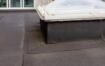 disadvantages of Loddon Ingloss flat roofs
